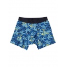 Boxerky pánské Quiksilver Island - IMPOSTER C