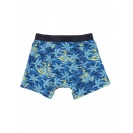 Boxerky pánské Quiksilver Island - IMPOSTER C