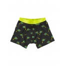 Boxerky pánské Quiksilver Vintage - IMPOSTER C